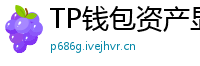 TP钱包资产显示异常？ERC-20代币强制添加教程